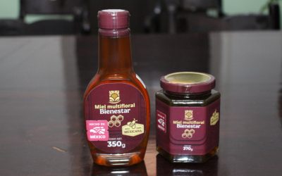“Miel Bienestar” impulsa la cadena apícola de Yucatán con planta procesadora en Valladolid