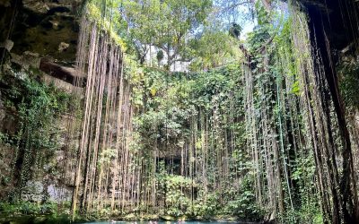 Yucatán 2025: Un Futuro Prometedor para la Inversión Inmobiliaria en Valladolid